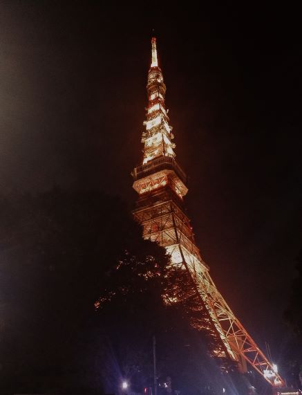 18.jpg